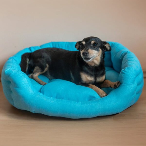 DLV09723 NATASHA - Sky - Синьо Легло за домашен любимец, Размери S-L, код 111