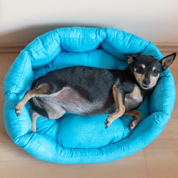 DLV09729 NATASHA - Sky - Синьо Легло за домашен любимец, Размери S-L, код 111